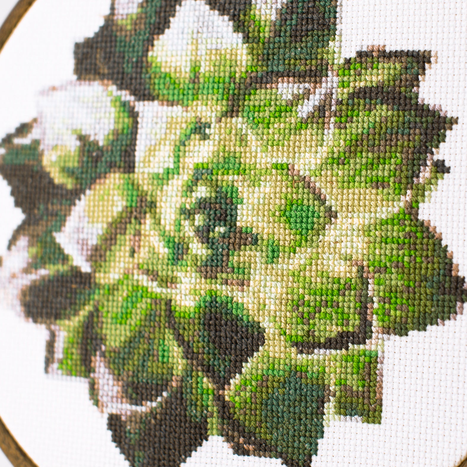 Done Realistic succulent cross stitch