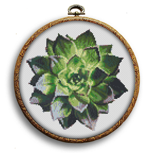 Watercolor succulent cross-stitch pattern