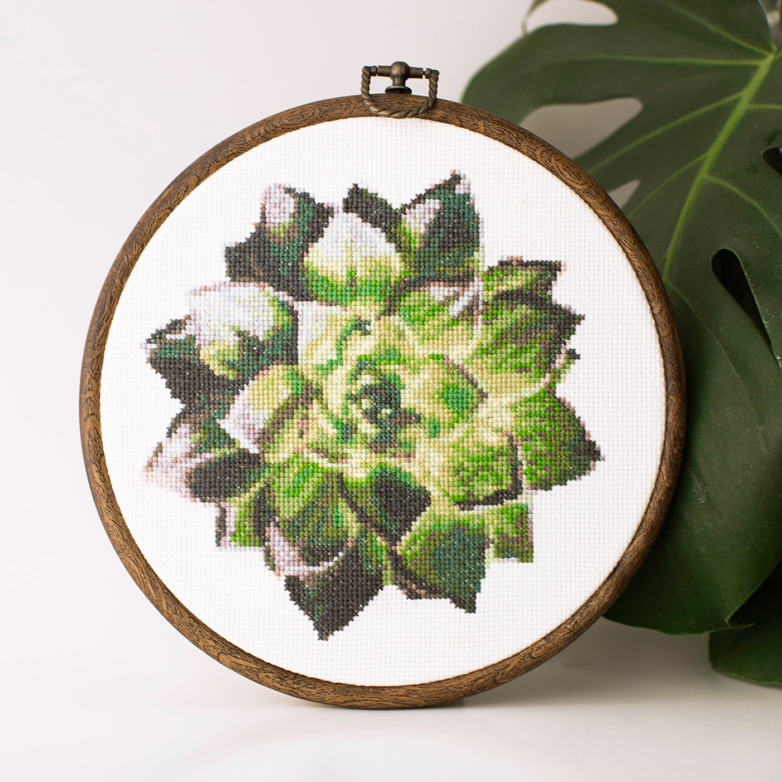 Realistic succulent cross stitch