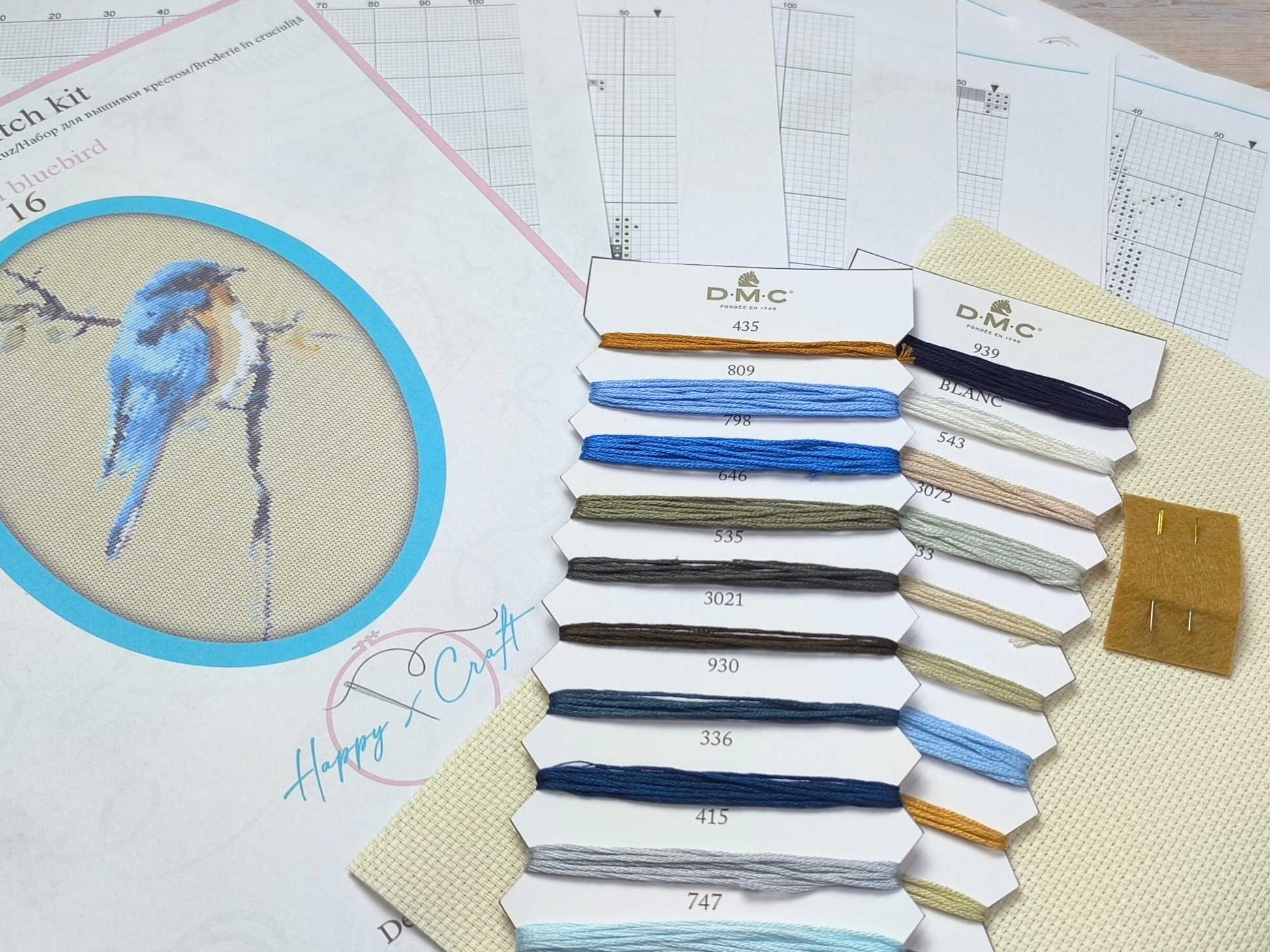 Bird embroidery kit with full-color pattern, thread cards, and Aida fabric