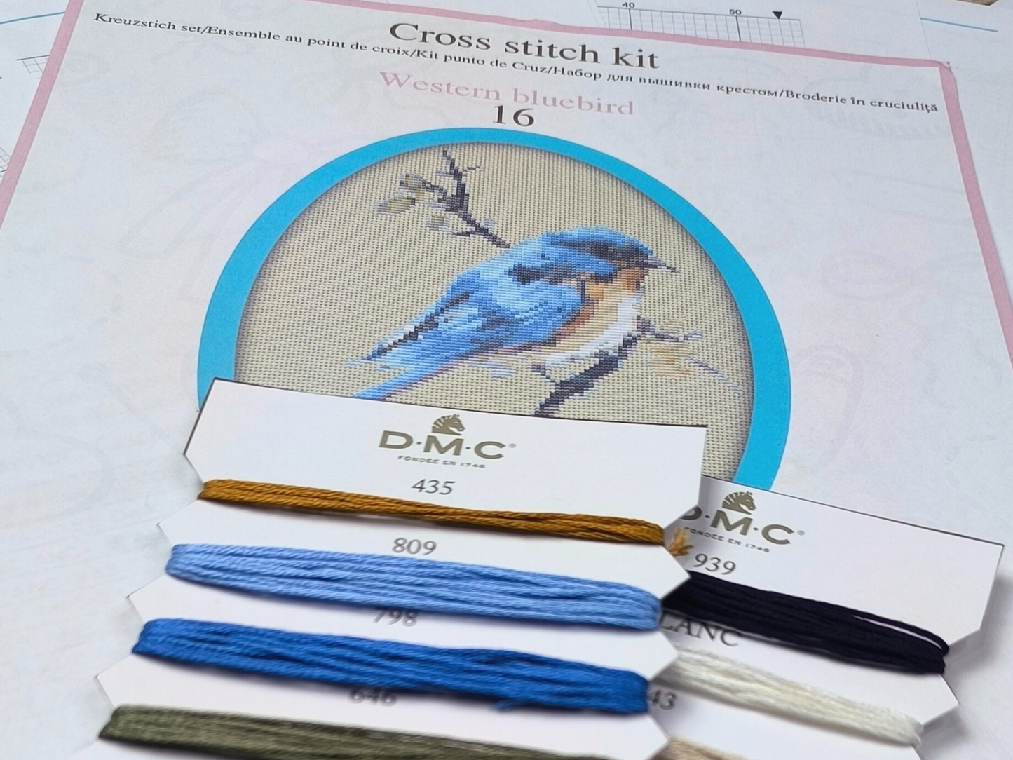 Embroidery starter kit with Western bluebird cross stitch pattern, detailed charts, multiple pages, DMC colors, and Aida fabric for a full crafting experience.
