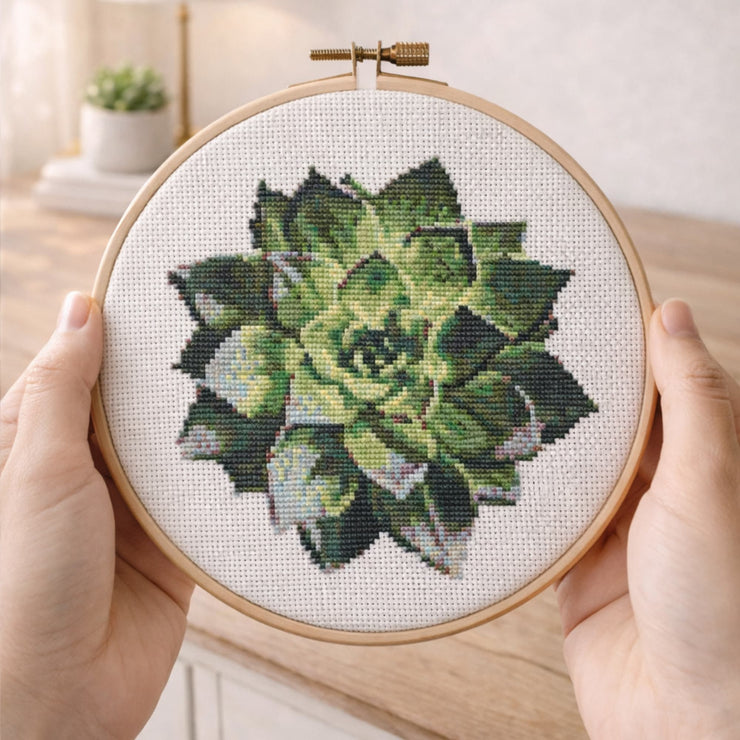 succulent cross stitch Realistic Succulent Cross Stitch Kit – Botanical Embroidery Set, Moder – Happy x craft