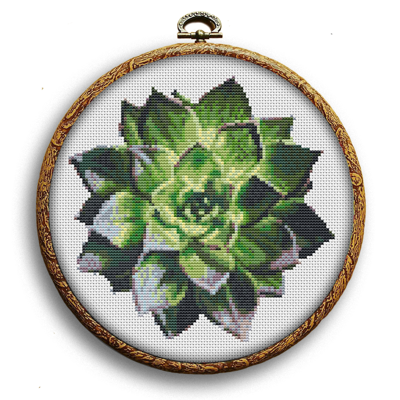 Watercolor succulent cross-stitch pattern