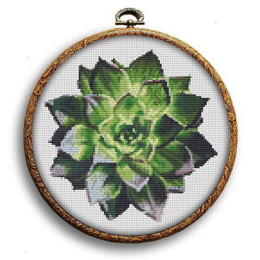 Realistic succulent cross stitch kit by Happy x craft